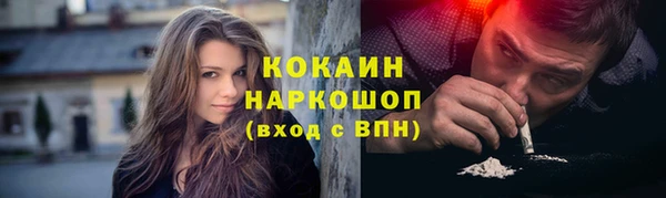 стафф Алексин
