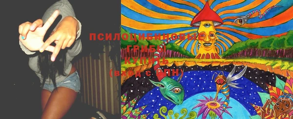 ГАЛЛЮЦИНОГЕННЫЕ ГРИБЫ Михайловка
