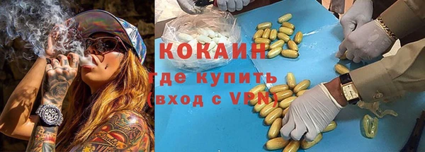 стафф Алексин